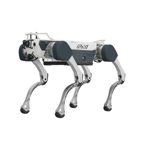 Quadruped Robot